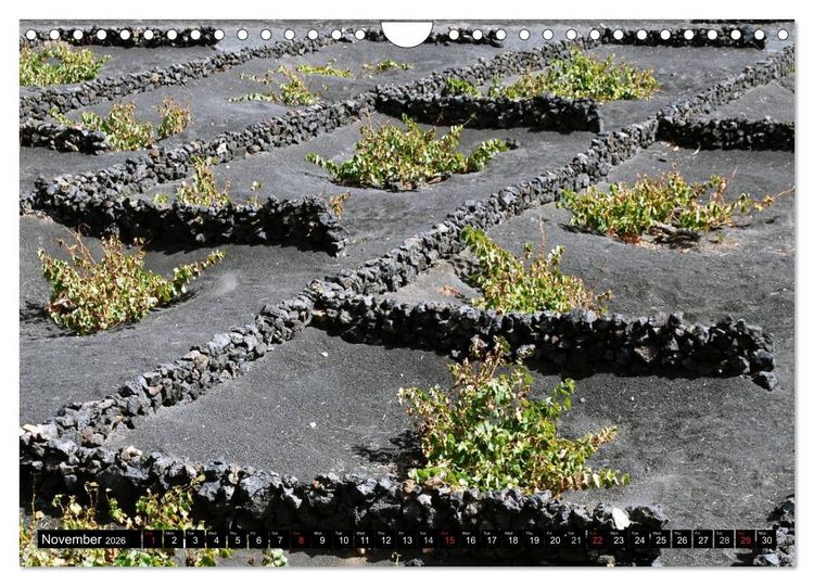 Produktbild: Lanzarote - Canary Islands (Wall Calendar 2026 DIN A4 landscape), CALVENDO 12 Month Wall Calendar