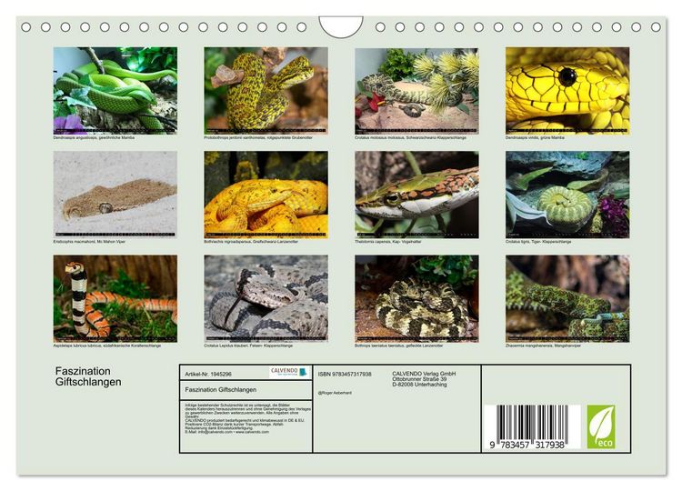 Produktbild: Faszination Giftschlangen (Wandkalender 2026 DIN A4 quer), CALVENDO Monatskalender