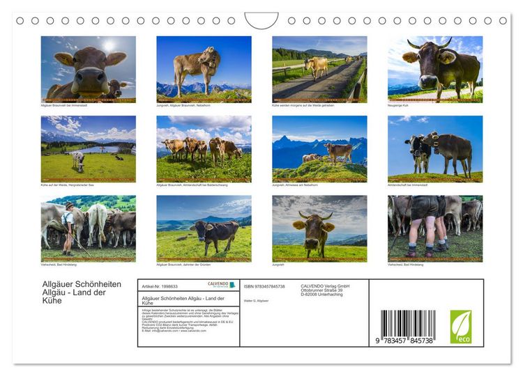 Produktbild: Allg&auml;uer Sch&ouml;nheiten Allg&auml;u - Land der K&uuml;he (Wandkalender 2026 DIN A4 quer), CALVENDO Monatskalender