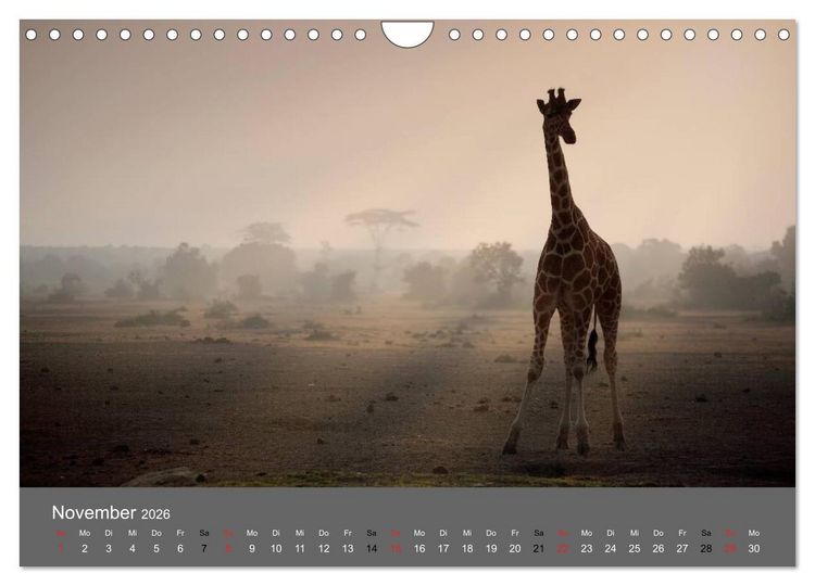 Produktbild: Ich tr&auml;umte von Afrika (Wandkalender 2026 DIN A4 quer), CALVENDO Monatskalender