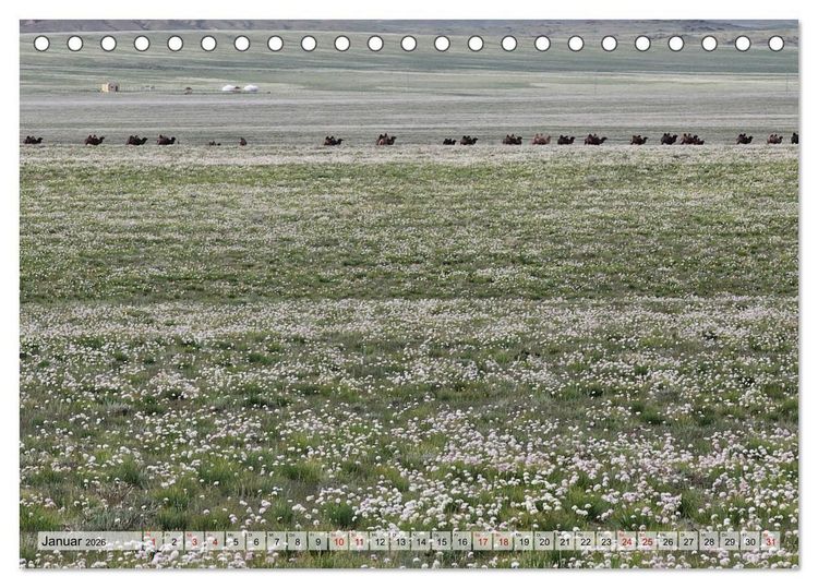 Produktbild: Nord-Gobi (Tischkalender 2026 DIN A5 quer), CALVENDO Monatskalender