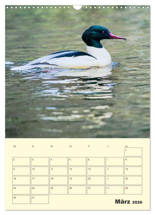 Produktbild: Vogelwelt an der Sieg (Wandkalender 2026 DIN A3 hoch), CALVENDO Monatskalender