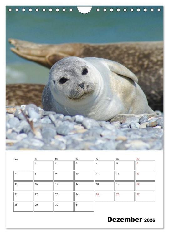 Produktbild: Einzigartige Insel Helgoland (Wandkalender 2026 DIN A4 hoch), CALVENDO Monatskalender