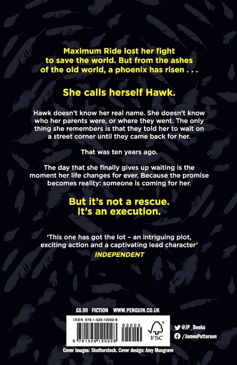 Produktbild: Hawk: A Maximum Ride Novel