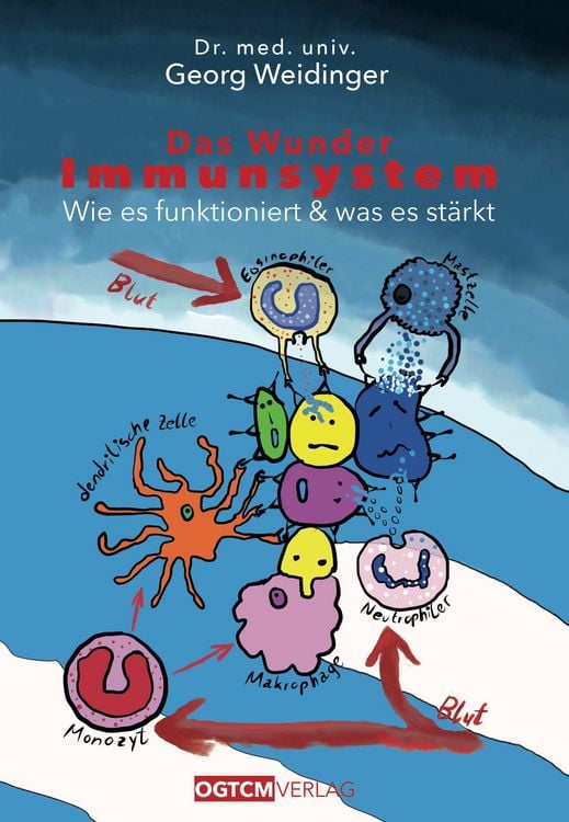 Produktbild: Das Wunder Immunsystem