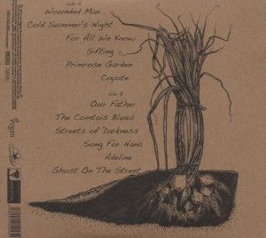 Produktbild: Forests And Fields