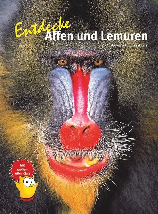 Produktbild: Entdecke Affen und Lemuren