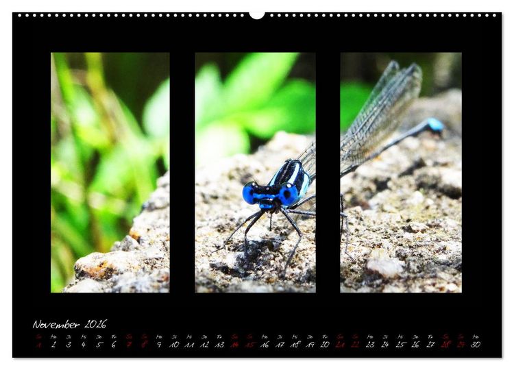 Produktbild: Die Kunst der Natur - Dreifach Stilvoll (hochwertiger Premium Wandkalender 2026 DIN A2 quer), Kunstdruck in Hochglanz
