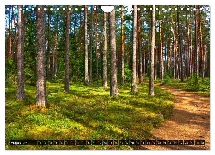 Produktbild: Bezauberndes Estland (Wandkalender 2026 DIN A4 quer), CALVENDO Monatskalender