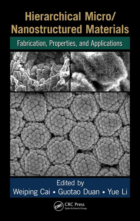 Produktbild: Hierarchical Micro/Nanostructured Materials