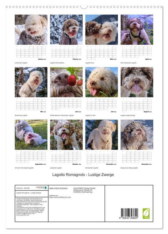 Produktbild: Lagotto Romagnolo - Lustige Zwerge (hochwertiger Premium Wandkalender 2026 DIN A2 hoch), Kunstdruck in Hochglanz