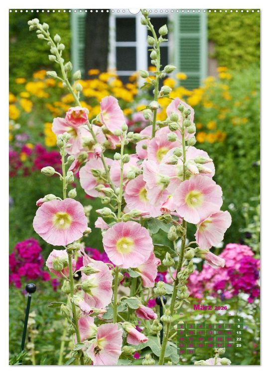 Produktbild: Malvenbl&uuml;te (Wandkalender 2026 DIN A2 hoch), CALVENDO Monatskalender