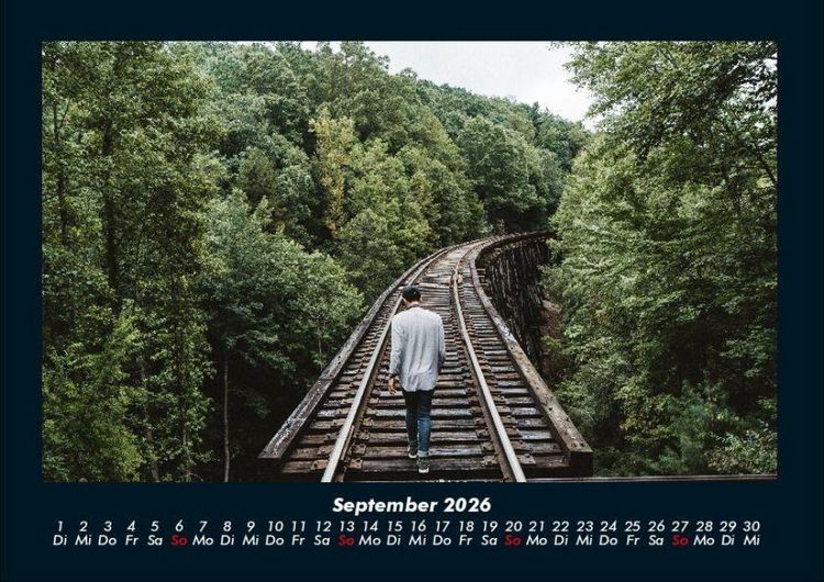 Produktbild: B&auml;ume 2026 Fotokalender DIN A4