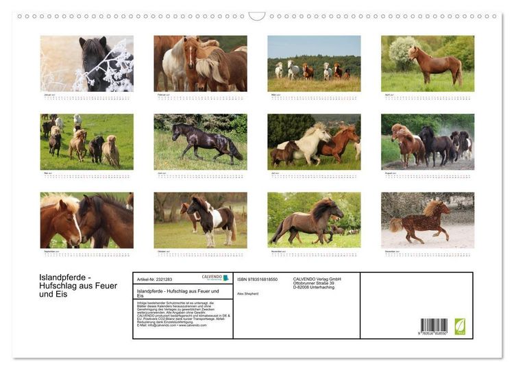 Produktbild: Islandpferde - Hufschlag aus Feuer und Eis (Wandkalender 2027 DIN A2 quer), CALVENDO Monatskalender