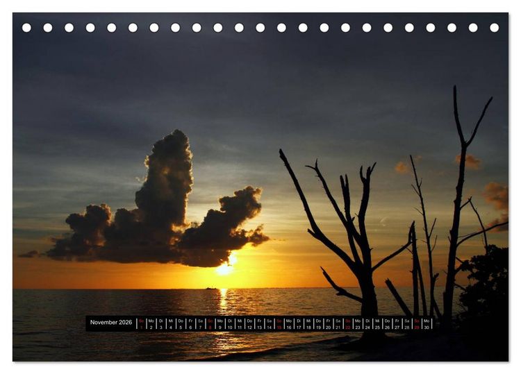 Produktbild: Florida Impressionen (Tischkalender 2026 DIN A5 quer), CALVENDO Monatskalender