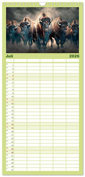 Produktbild: Familienplaner 2026 - Amerikanischer Bison mit 5 Spalten (Wandkalender, 21 x 45 cm) CALVENDO