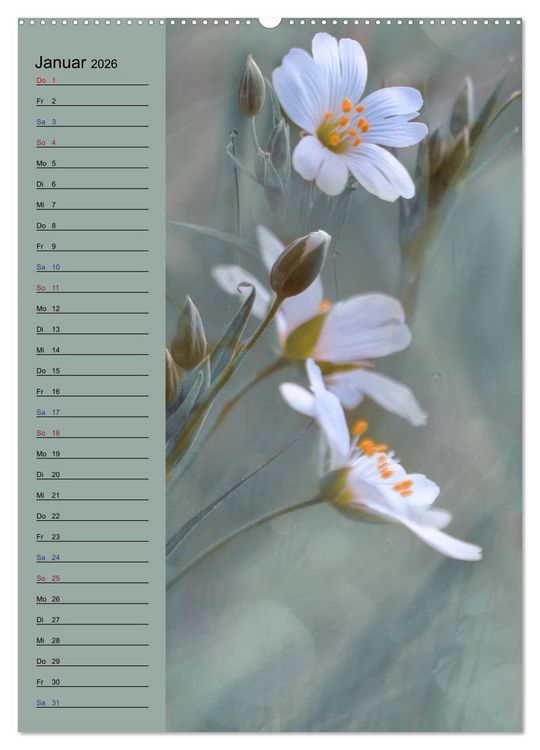 Produktbild: Pastell-Zauber (Wandkalender 2026 DIN A2 hoch), CALVENDO Monatskalender