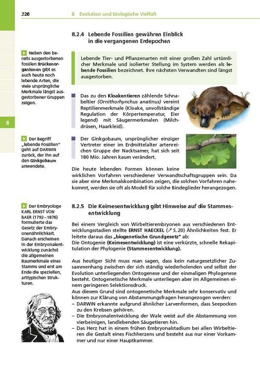 Produktbild: Basiswissen Schule &ndash; Biologie Abi