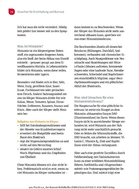 Produktbild: Der Burnout-Notfallkoffer