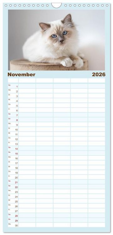 Produktbild: Familienplaner 2026 - Heilige Birma Katzen - Eine Rasse mit traumhaft blauen Augen. mit 5 Spalten (Wandkalender, 21 x 45 cm) CALVENDO
