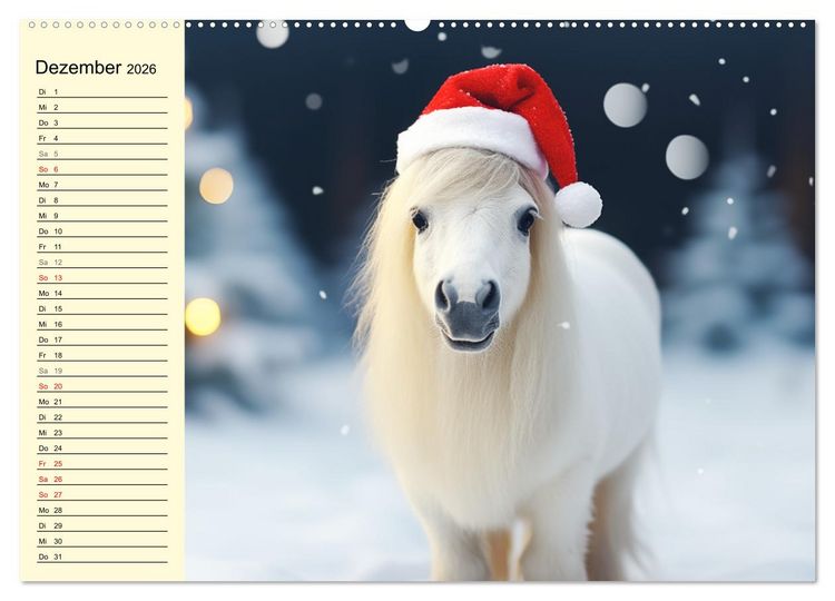 Produktbild: Kleine Pferde. Mini-Ponys zum verlieben (hochwertiger Premium Wandkalender 2026 DIN A2 quer), Kunstdruck in Hochglanz