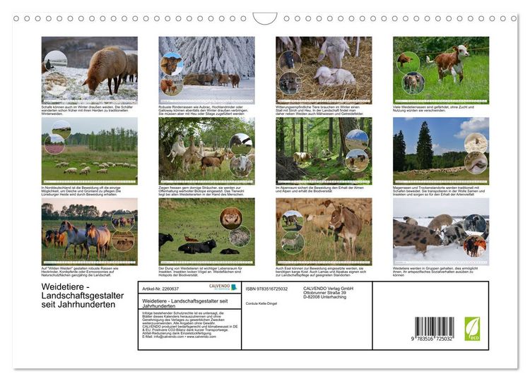 Produktbild: Weidetiere - Landschaftsgestalter seit Jahrhunderten (Wandkalender 2026 DIN A3 quer), CALVENDO Monatskalender