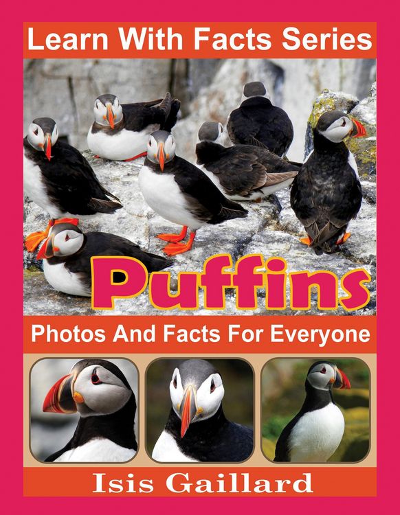 Produktbild: Puffins Photos and Facts for Everyone (Learn With Facts Series, #113)