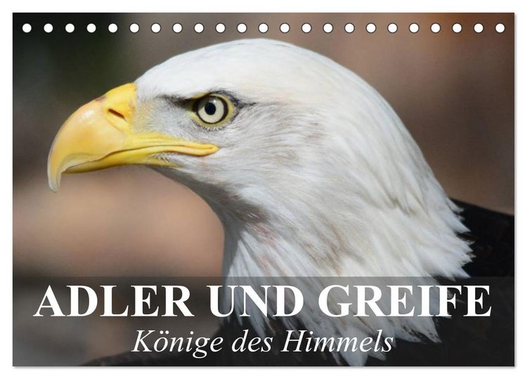 Produktbild: Adler und Greife - K&ouml;nige des Himmels (Tischkalender 2026 DIN A5 quer), CALVENDO Monatskalender