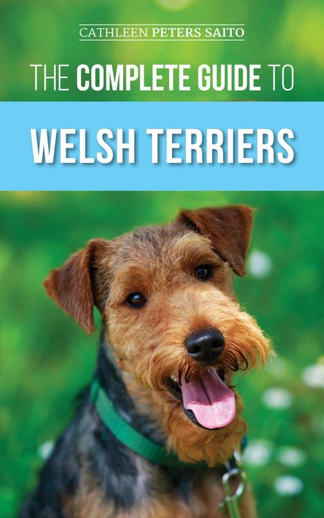 Produktbild: The Complete Guide to Welsh Terriers