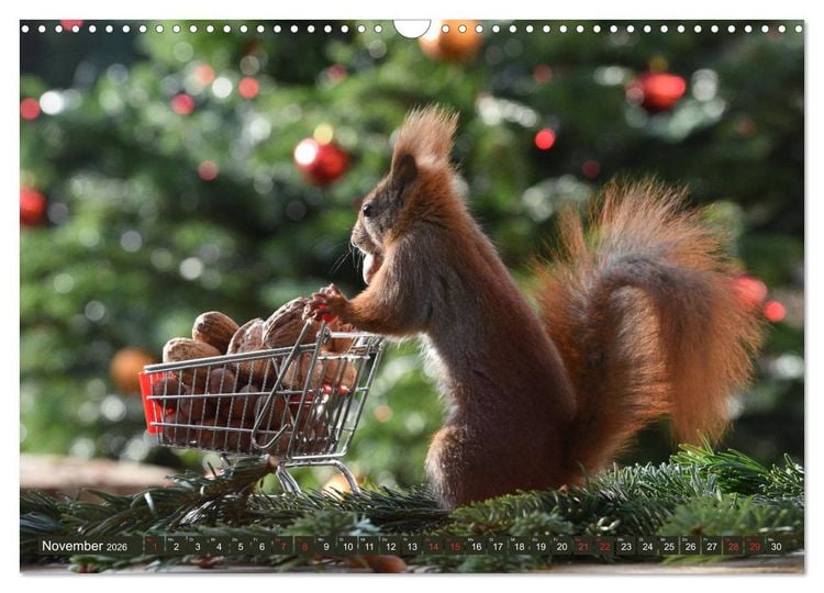 Produktbild: Neuer Spa&szlig; mit Eichh&ouml;rnchen-Kindern (Wandkalender 2026 DIN A3 quer), CALVENDO Monatskalender