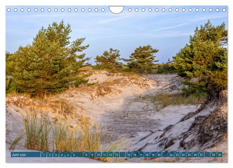 Produktbild: Dar&szlig;-Zingst Naturimpressionen (Wandkalender 2026 DIN A4 quer), CALVENDO Monatskalender