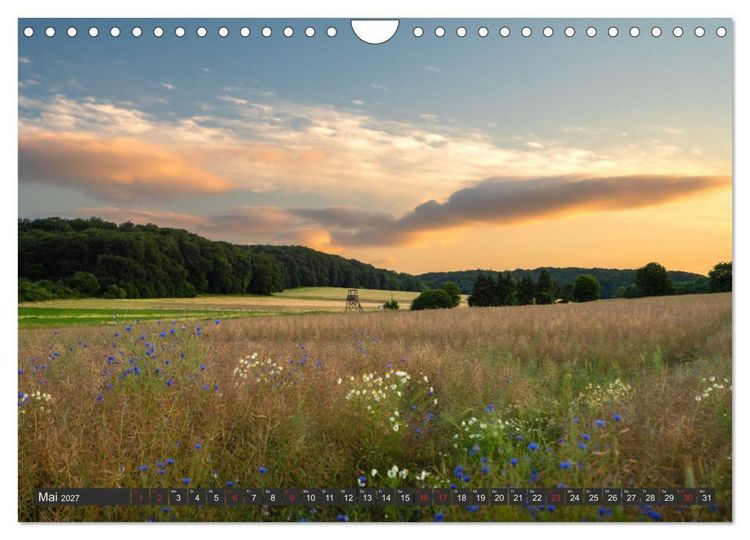 Produktbild: Leben am Naturpark um den D&uuml;mmer See (Wandkalender 2027 DIN A4 quer), CALVENDO Monatskalender