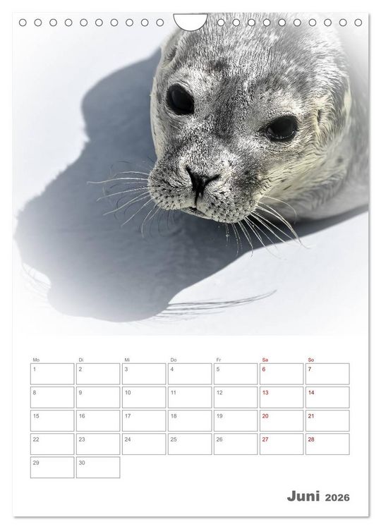 Produktbild: Texel - Momente die verzaubern (Wandkalender 2026 DIN A4 hoch), CALVENDO Monatskalender