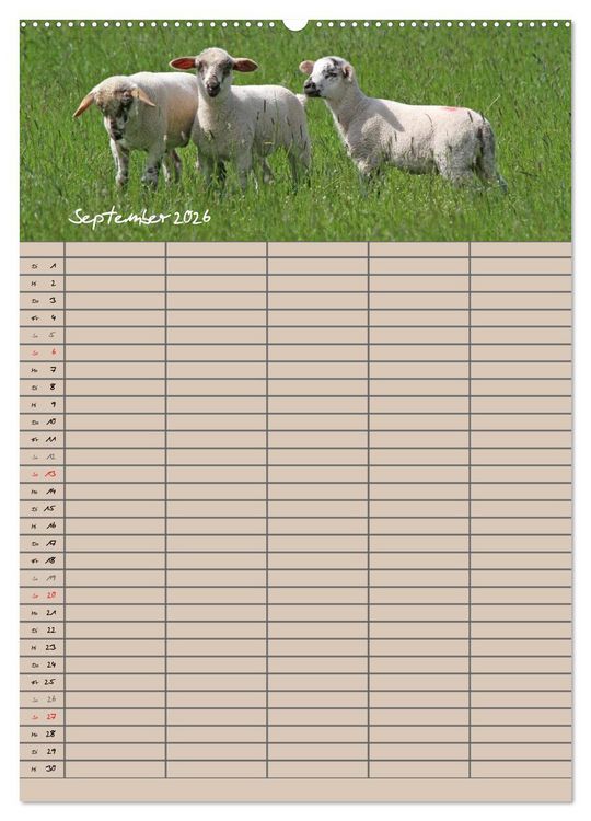 Produktbild: Der bel&auml;mmerte Familienplaner (Wandkalender 2026 DIN A2 hoch), CALVENDO Monatskalender