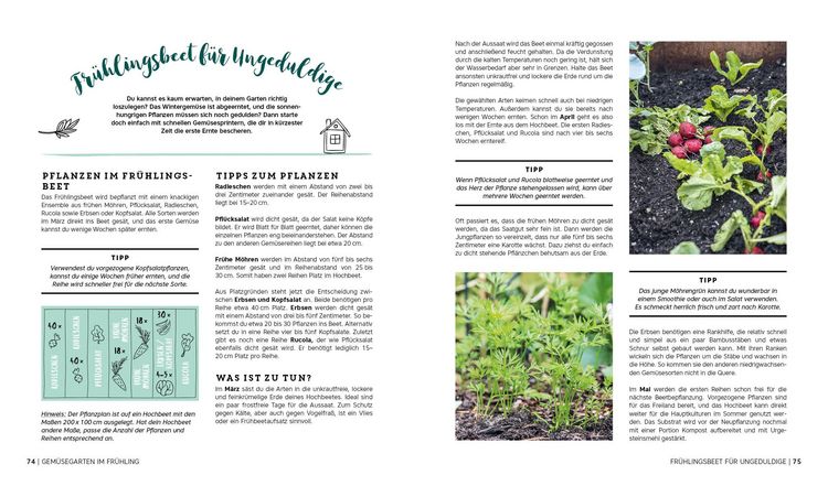 Produktbild: Ernte gut, alles gut! &ndash; Gem&uuml;seg&auml;rtnern im Hochbeet, Fr&uuml;hbeet und Gew&auml;chshaus