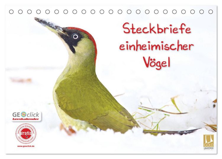 Produktbild: Steckbriefe einheimischer V&ouml;gel (Tischkalender 2026 DIN A5 quer), CALVENDO Monatskalender