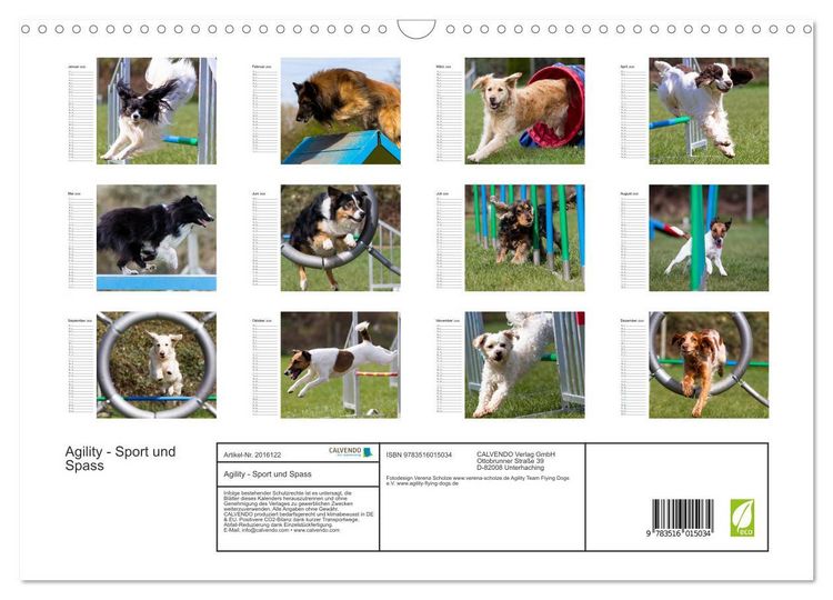 Produktbild: Agility - Sport und Spass (Wandkalender 2026 DIN A3 quer), CALVENDO Monatskalender