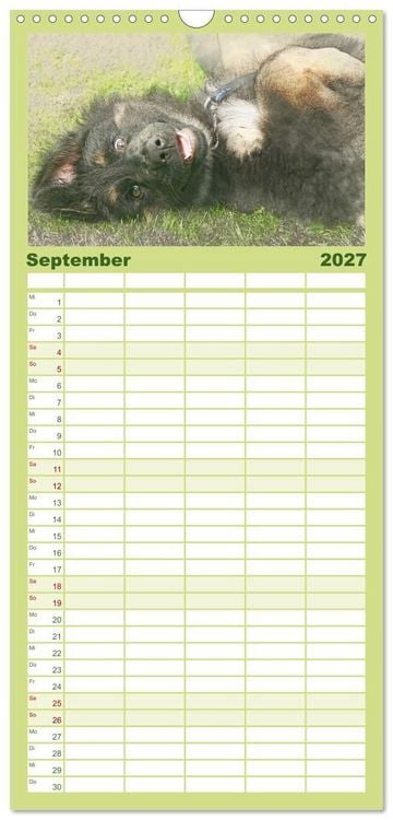 Produktbild: Familienplaner 2027 - Hundewelpen 2027 mit 5 Spalten (Wandkalender, 21 x 45 cm) CALVENDO