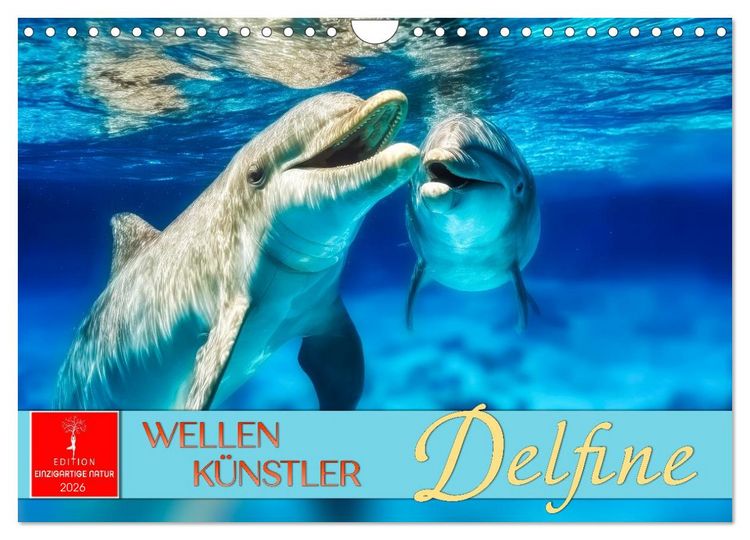 Produktbild: Delfine - Wellen K&uuml;nstler (Wandkalender 2026 DIN A4 quer), CALVENDO Monatskalender