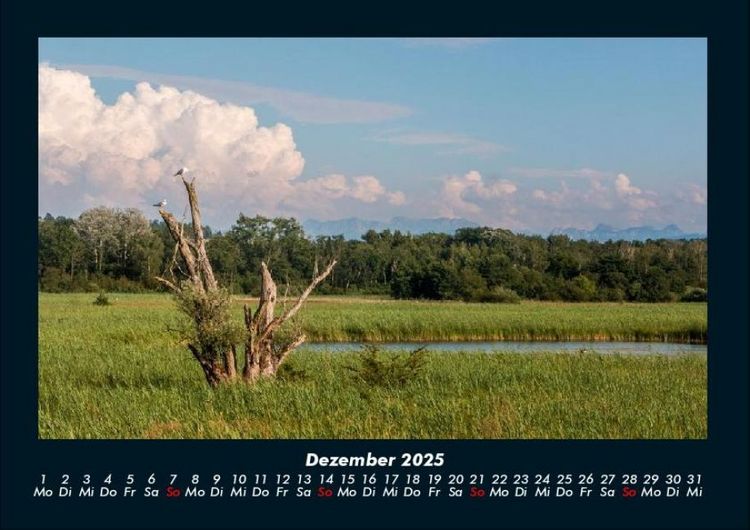 Produktbild: B&auml;ume 2025 Fotokalender DIN A4