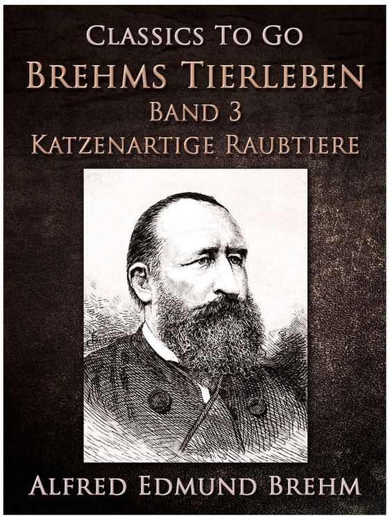 Produktbild: Ein stummer Musikant. Die Geschichte einer K&uuml;nstlerliebe