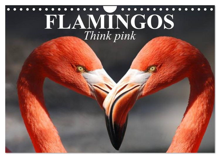 Produktbild: Flamingos Think pink (Wall Calendar 2026 DIN A4 landscape), CALVENDO 12 Month Wall Calendar