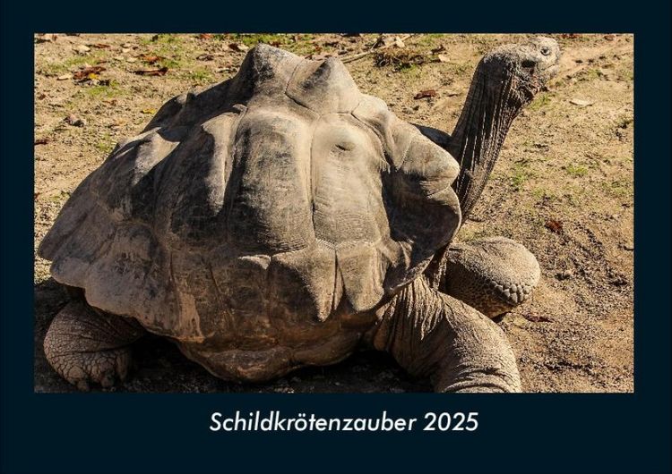 Produktbild: Schildkr&ouml;tenzauber 2025 Fotokalender DIN A4