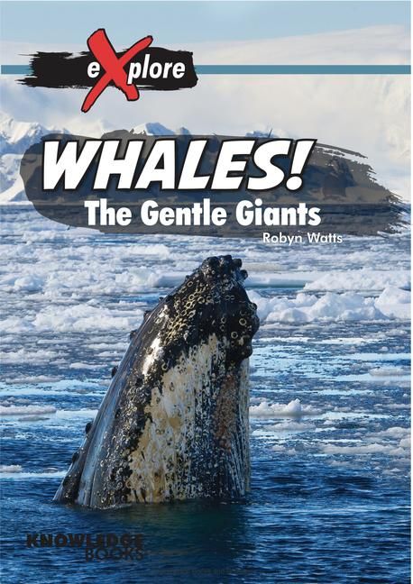 Produktbild: Whales!