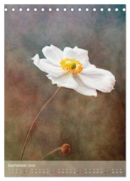 Produktbild: Blumengefl&uuml;ster (Tischkalender 2026 DIN A5 hoch), CALVENDO Monatskalender