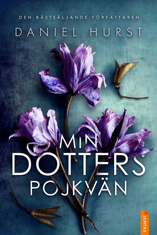 Produktbild: Min dotters pojkv&auml;n