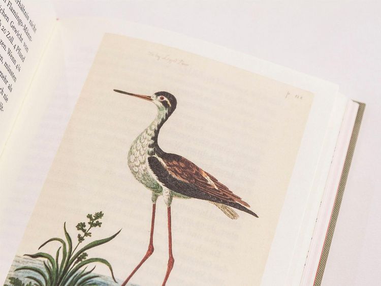 Produktbild: Die Erkundung von Selborne durch Reverend Gilbert White