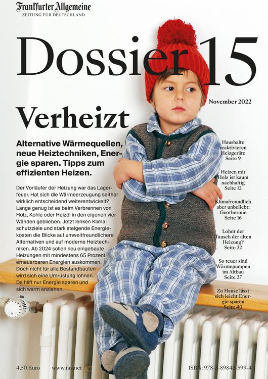 Produktbild: Verheizt