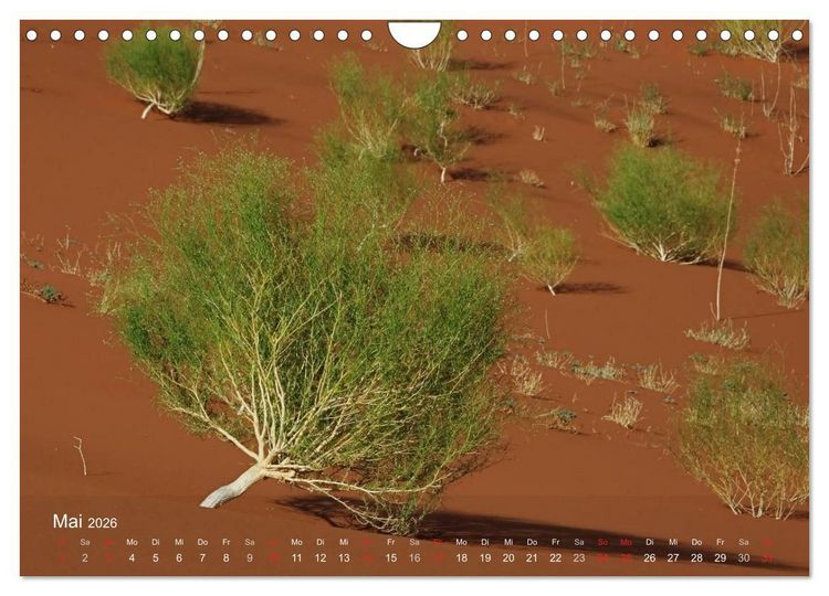 Produktbild: Afrikanische B&auml;ume (Wandkalender 2026 DIN A4 quer), CALVENDO Monatskalender
