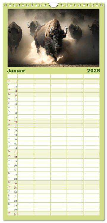 Produktbild: Familienplaner 2026 - Amerikanischer Bison mit 5 Spalten (Wandkalender, 21 x 45 cm) CALVENDO